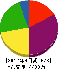 和沢工務店 貸借対照表 2012年9月期