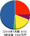 松本建設 貸借対照表 2010年7月期