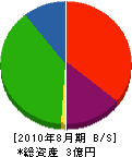 松崎建業 貸借対照表 2010年8月期