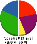 和田工務店 貸借対照表 2012年6月期