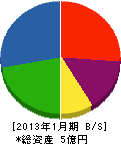 タケノ 貸借対照表 2013年1月期