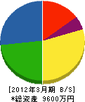 長岡移動電話システム 貸借対照表 2012年3月期