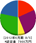 山田設備 貸借対照表 2012年6月期