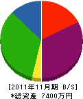 大野電機製作所 貸借対照表 2011年11月期
