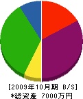 坂本塗装店 貸借対照表 2009年10月期