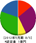 湯沢サトー工業 貸借対照表 2012年5月期
