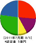 山添電気 貸借対照表 2011年7月期