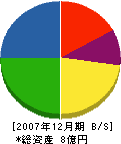 倉橋建設 貸借対照表 2007年12月期