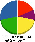武井工務所 貸借対照表 2011年5月期