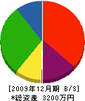 秋山畳店 貸借対照表 2009年12月期