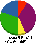 東京プラント工業 貸借対照表 2012年3月期