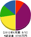 潮田建設 貸借対照表 2012年6月期