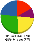 小林電業社 貸借対照表 2010年9月期