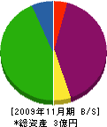 神尾組 貸借対照表 2009年11月期
