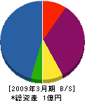 勝田電設 貸借対照表 2009年3月期