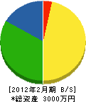 堀口商会 貸借対照表 2012年2月期