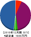 大島技巧 貸借対照表 2010年12月期