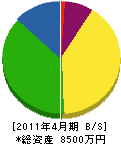 斎藤建設 貸借対照表 2011年4月期