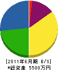 澤田工務店 貸借対照表 2011年6月期