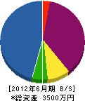 池永電気商会 貸借対照表 2012年6月期