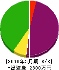 松本硝子 貸借対照表 2010年5月期