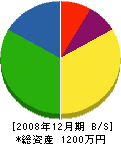 細川電機工業所 貸借対照表 2008年12月期