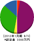 川島建設 貸借対照表 2012年1月期