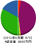 横山造園 貸借対照表 2012年6月期