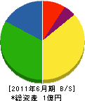 江田特殊防水工業 貸借対照表 2011年6月期