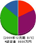 山崎工業 貸借対照表 2009年12月期