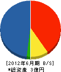 柳田組 貸借対照表 2012年6月期