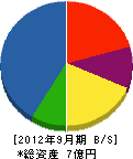小野寺鐵工所 貸借対照表 2012年9月期