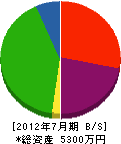 山元水道工業所 貸借対照表 2012年7月期
