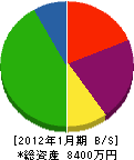 白陽ライン 貸借対照表 2012年1月期