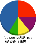 大昭商事 貸借対照表 2012年12月期
