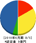 讃州電気工事 貸借対照表 2010年6月期