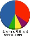 丸謙建設 貸借対照表 2007年12月期