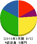 大江鉄工所 貸借対照表 2013年3月期