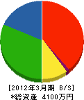 中村電気商会 貸借対照表 2012年3月期