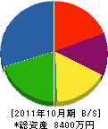 津嶋塗装 貸借対照表 2011年10月期