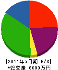 太田綜合設備 貸借対照表 2011年5月期
