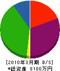 石川電気商会 貸借対照表 2010年3月期