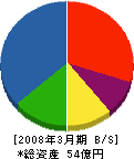 東亜グラウト工業 貸借対照表 2008年3月期