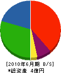 阪神装路 貸借対照表 2010年6月期