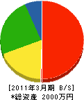 竹川電気 貸借対照表 2011年3月期