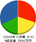 北沢建設 貸借対照表 2009年12月期