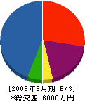神奈川オギノール 貸借対照表 2008年3月期