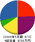 ミシマ 貸借対照表 2009年5月期