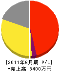 上野タタミ店 損益計算書 2011年6月期