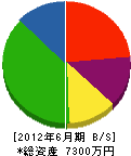 丸島工務店 貸借対照表 2012年6月期